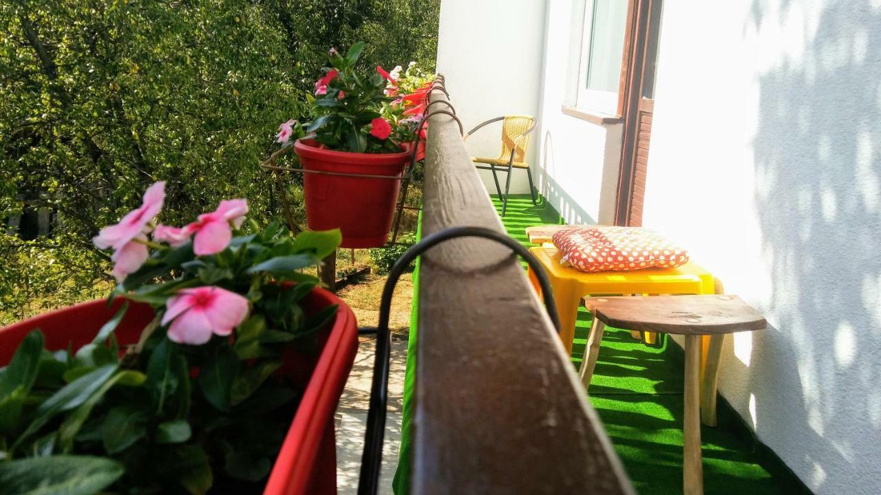 Licko Petrovo Selo Guesthouse D&D מראה חיצוני תמונה
